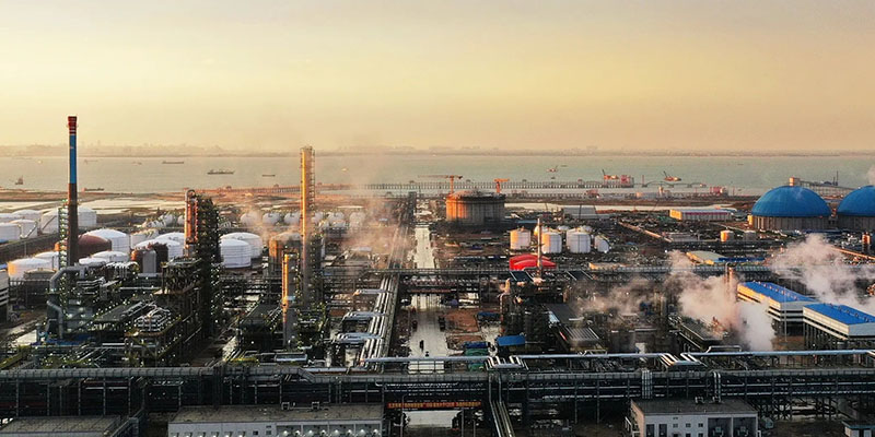 �п�������